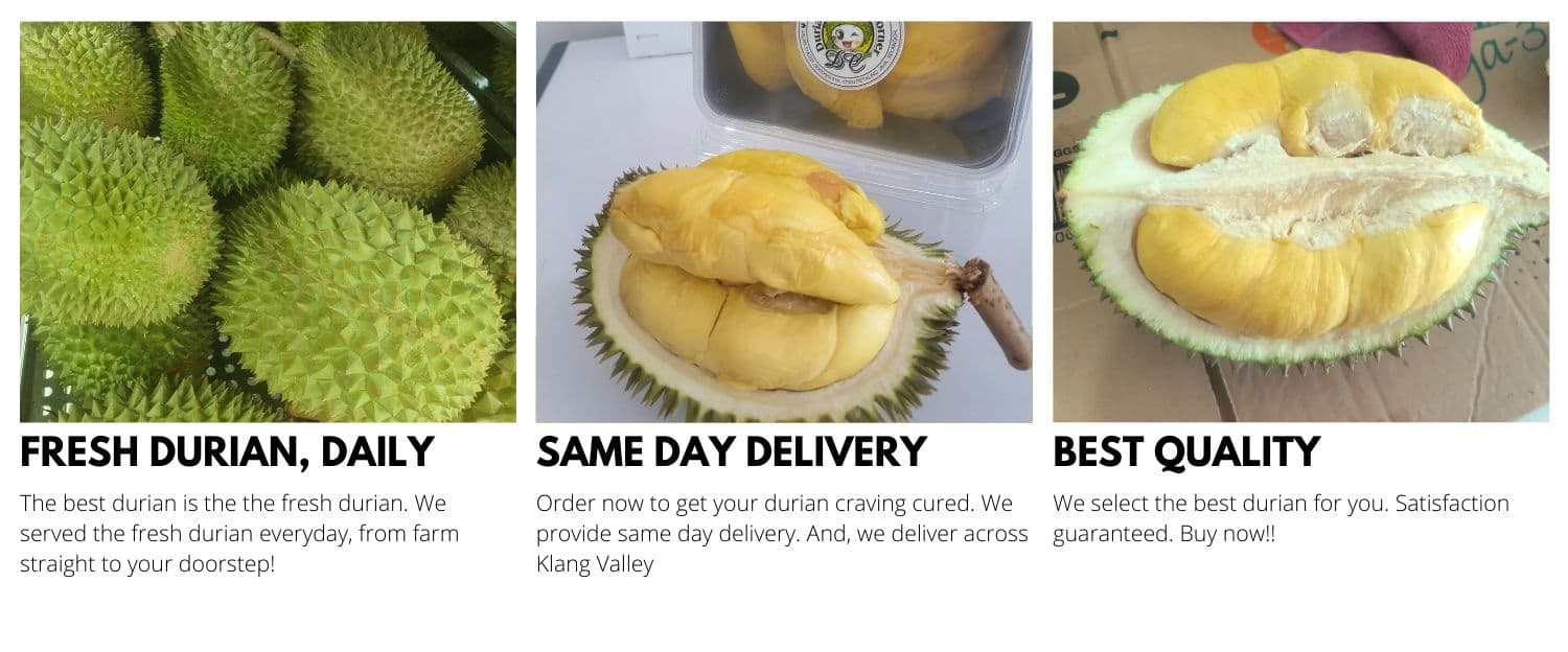 Durian Corner